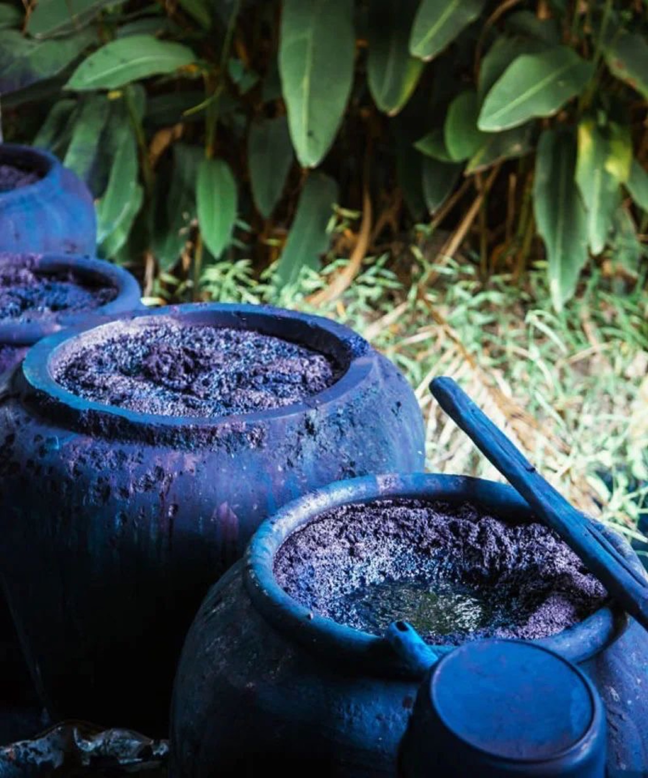Natural indigo dye used in Dabu printing